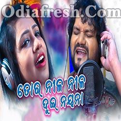 To Nila Nila Dui Nayana - Odia New Style Romantic Song (Humane Sagar - Sohini Mishra)